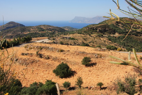 Kreta-2009-7552-paa-vej-hjem-geder-paa-plateau.JPG