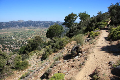 Kreta-2009-7621-stien-med-dalen-ved-Omalos-til-venstre.JPG