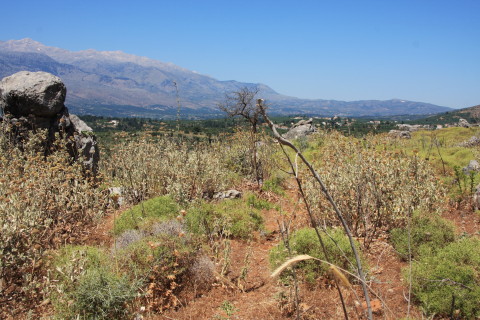 Kreta-2009-7753.JPG
