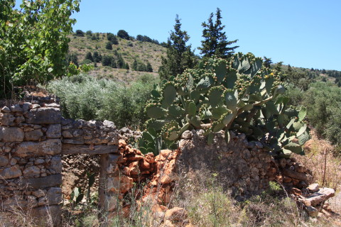 Kreta-2009-7810-ruiner-ved-ankomst-til-Likotinara.JPG