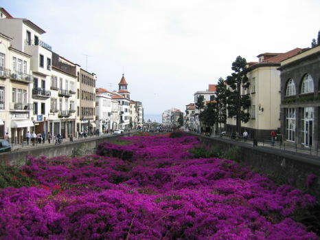 Madeira_2004_0001.JPG