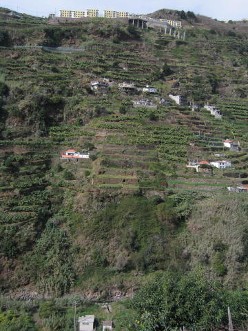 Madeira_2004_0010.JPG