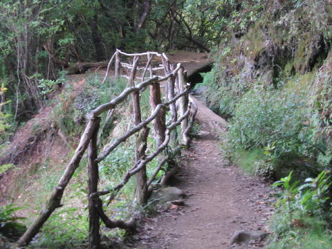 Madeira_2004_0055.JPG