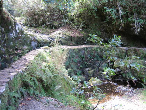 Madeira_2004_0058.JPG