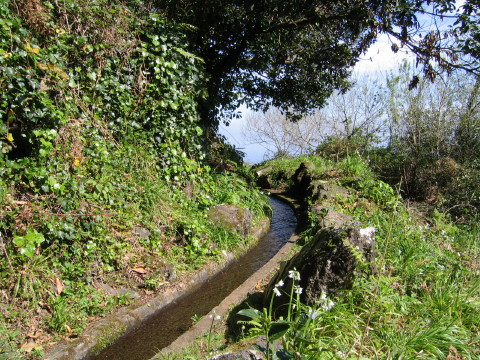 Madeira_2006_0038.JPG