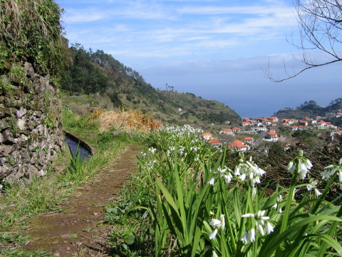 Madeira_2006_0039.JPG