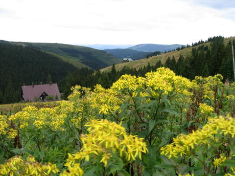 Vandreture i Krkonoše-nationalparken, Det Bøhmiske Paradis (Ceský ráj), camping ved Sedmihorky nær Turnov